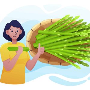 Free Asparagus Illustration (AI, EPS, PNG)